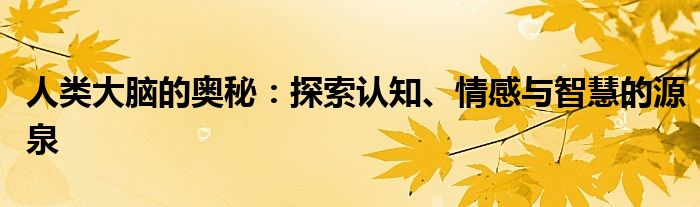 人类大脑的奥秘：探索认知、情感与智慧的源泉