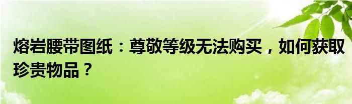 熔岩腰带图纸：尊敬等级无法购买，如何获取珍贵物品？