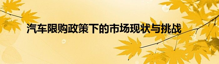 汽车限购政策下的市场现状与挑战