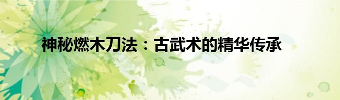 神秘燃木刀法：古武术的精华传承