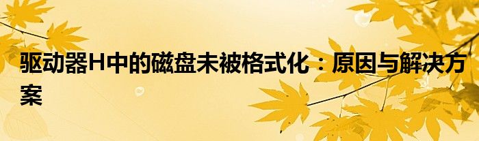 驱动器H中的磁盘未被格式化：原因与解决方案