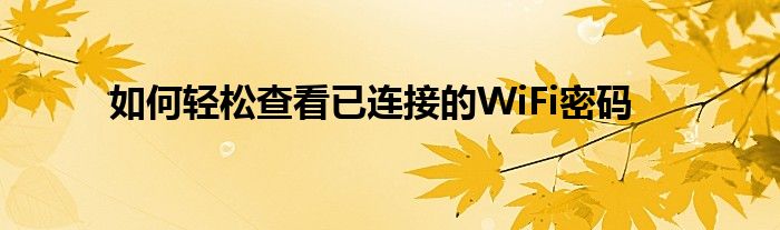 如何轻松查看已连接的WiFi密码