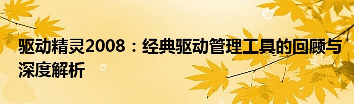 驱动精灵2008：经典驱动管理工具的回顾与深度解析