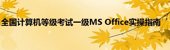 全国计算机等级考试一级MS Office实操指南