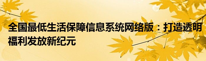 全国最低生活保障信息系统网络版：打造透明福利发放新纪元