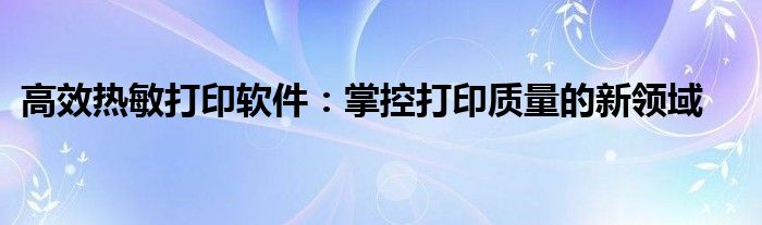 高效热敏打印软件：掌控打印质量的新领域