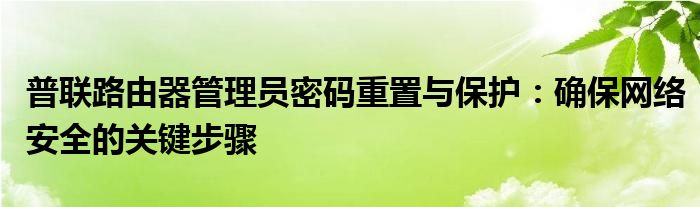 普联路由器管理员密码重置与保护：确保网络安全的关键步骤