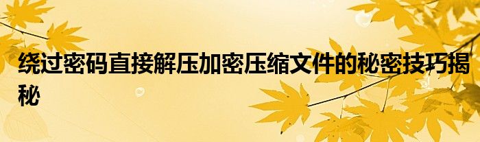 绕过密码直接解压加密压缩文件的秘密技巧揭秘