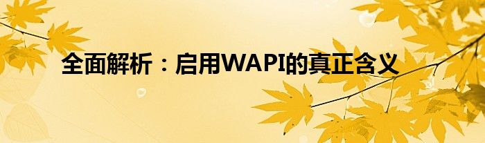 全面解析：启用WAPI的真正含义