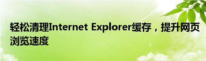 轻松清理Internet Explorer缓存，提升网页浏览速度