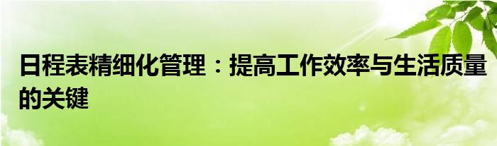 日程表精细化管理：提高工作效率与生活质量的关键