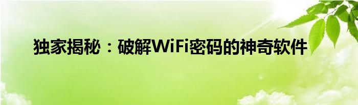 独家揭秘：破解WiFi密码的神奇软件