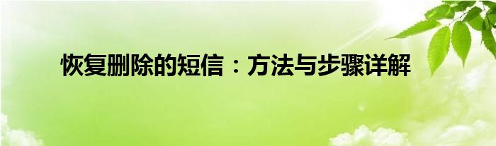 恢复删除的短信：方法与步骤详解