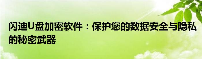 闪迪U盘加密软件：保护您的数据安全与隐私的秘密武器