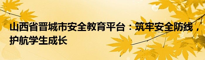 山西省晋城市安全教育平台：筑牢安全防线，护航学生成长