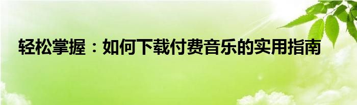 轻松掌握：如何下载付费音乐的实用指南