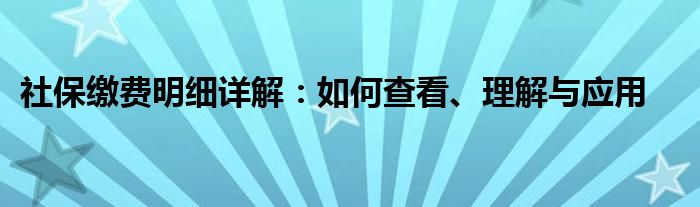 社保缴费明细详解：如何查看、理解与应用