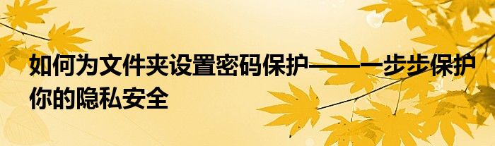 如何为文件夹设置密码保护——一步步保护你的隐私安全