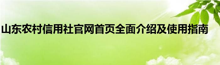 山东农村信用社官网首页全面介绍及使用指南