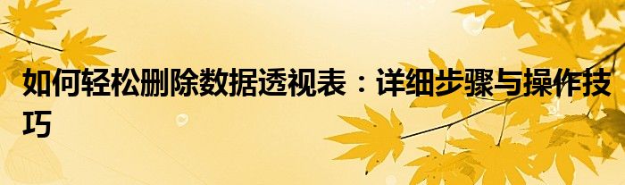 如何轻松删除数据透视表：详细步骤与操作技巧