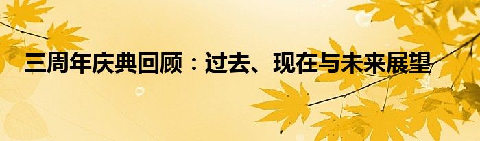 三周年庆典回顾：过去、现在与未来展望