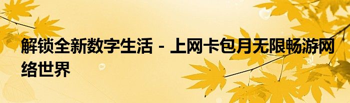 解锁全新数字生活 - 上网卡包月无限畅游网络世界