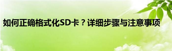 如何正确格式化SD卡？详细步骤与注意事项