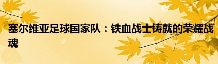 塞尔维亚足球国家队：铁血战士铸就的荣耀战魂