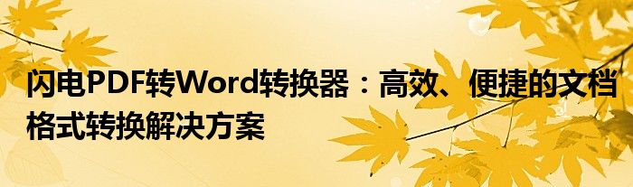 闪电PDF转Word转换器：高效、便捷的文档格式转换解决方案