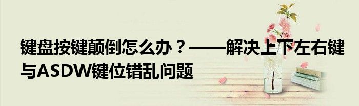 键盘按键颠倒怎么办？——解决上下左右键与ASDW键位错乱问题