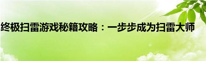 终极扫雷游戏秘籍攻略：一步步成为扫雷大师