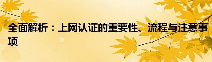 全面解析：上网认证的重要性、流程与注意事项