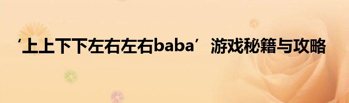 ‘上上下下左右左右baba’游戏秘籍与攻略