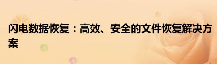 闪电数据恢复：高效、安全的文件恢复解决方案