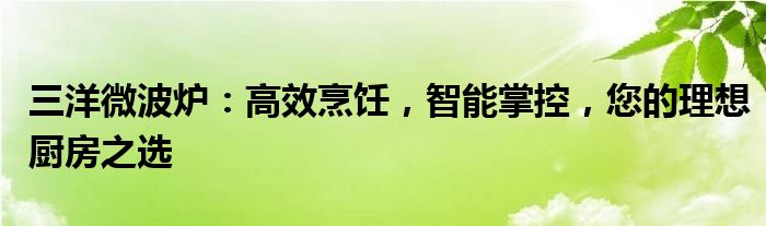 三洋微波炉：高效烹饪，智能掌控，您的理想厨房之选