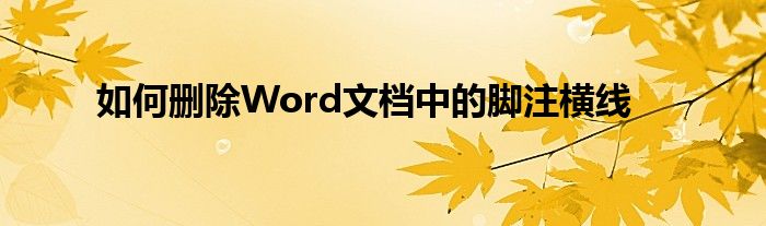 如何删除Word文档中的脚注横线