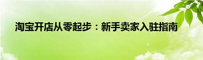 淘宝开店从零起步：新手卖家入驻指南