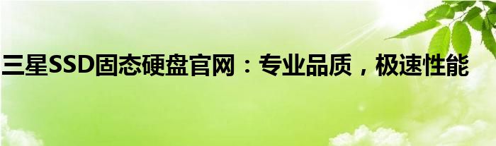 三星SSD固态硬盘官网：专业品质，极速性能