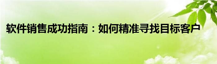 软件销售成功指南：如何精准寻找目标客户