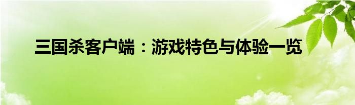 三国杀客户端：游戏特色与体验一览