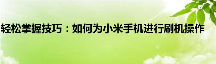 轻松掌握技巧：如何为小米手机进行刷机操作