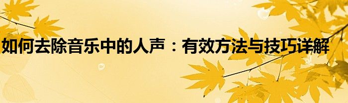 如何去除音乐中的人声：有效方法与技巧详解