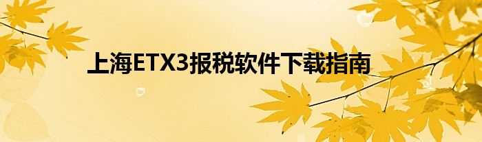 上海ETX3报税软件下载指南