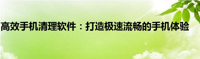 高效手机清理软件：打造极速流畅的手机体验