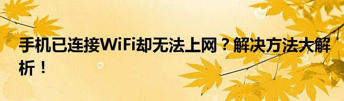 手机已连接WiFi却无法上网？解决方法大解析！