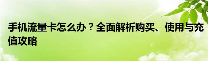 手机流量卡怎么办？全面解析购买、使用与充值攻略