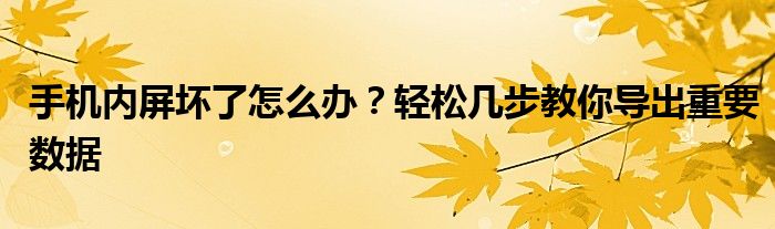 手机内屏坏了怎么办？轻松几步教你导出重要数据