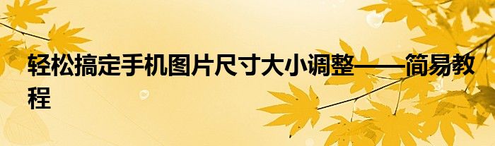 轻松搞定手机图片尺寸大小调整——简易教程