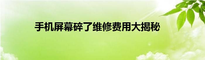 手机屏幕碎了维修费用大揭秘