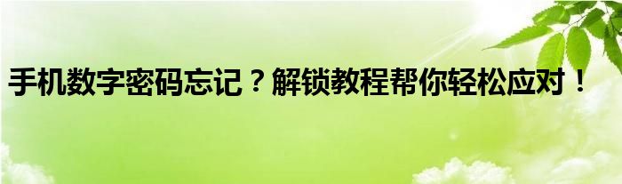 手机数字密码忘记？解锁教程帮你轻松应对！